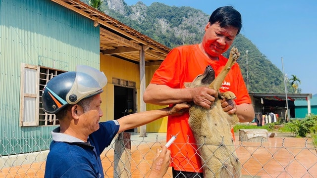 Đẩy mạnh các biện pháp phòng, chống khi bệnh dại vào mùa- Ảnh 3.