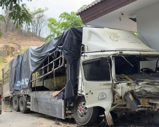 Khởi tố vụ án xe tải lao xuống vực khiến 3 người tử vong ở Lâm Đồng- Ảnh 1.