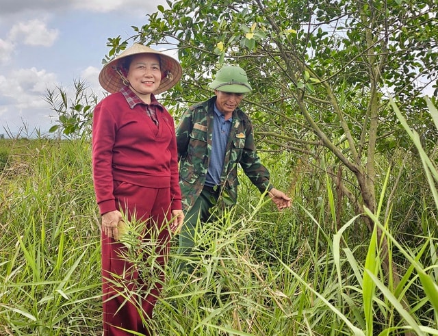 Từ 'sát thủ chim trời' thành người giữ hồn đầm phá Hạc Hải- Ảnh 3.