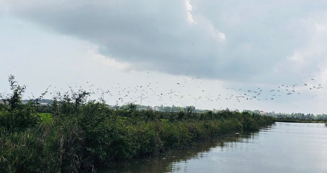 Từ 'sát thủ chim trời' thành người giữ hồn đầm phá Hạc Hải- Ảnh 4.