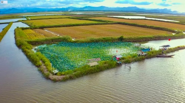 Từ 'sát thủ chim trời' thành người giữ hồn đầm phá Hạc Hải- Ảnh 1.