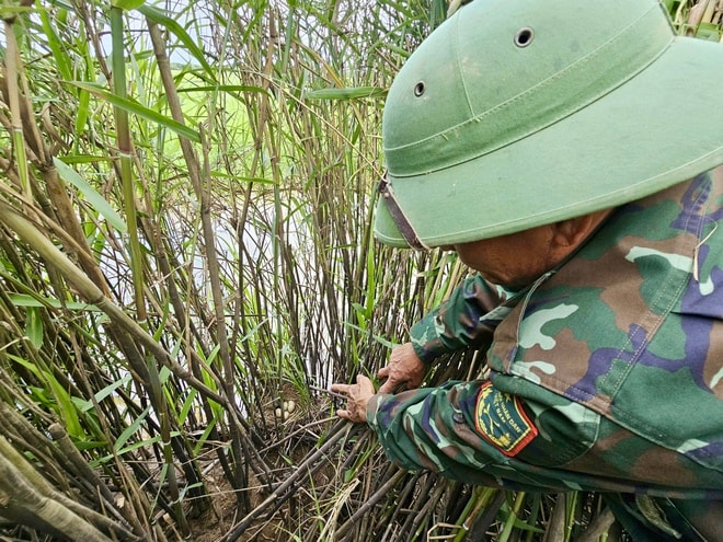 Từ 'sát thủ chim trời' thành người giữ hồn đầm phá Hạc Hải- Ảnh 5.