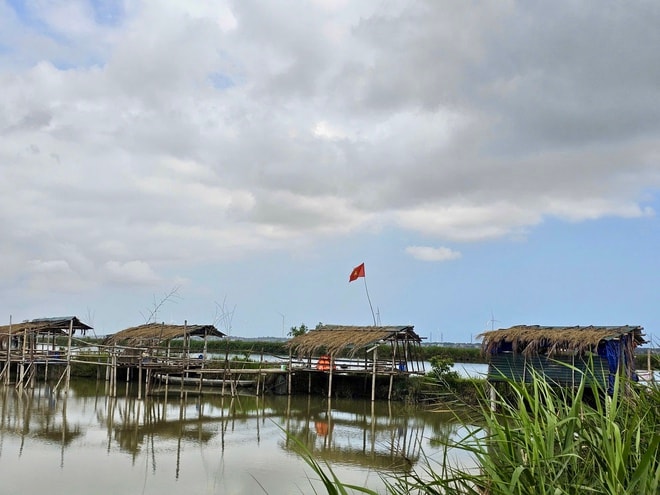 Từ 'sát thủ chim trời' thành người giữ hồn đầm phá Hạc Hải- Ảnh 8.