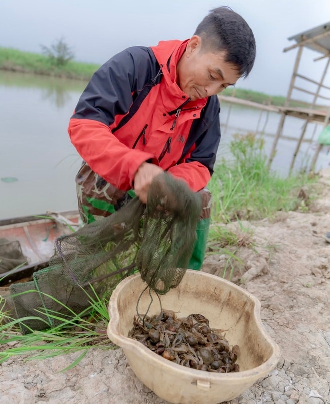 Từ 'sát thủ chim trời' thành người giữ hồn đầm phá Hạc Hải- Ảnh 9.