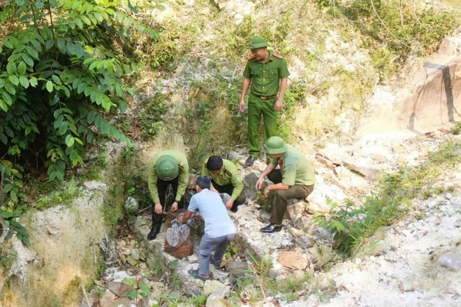 Thả rắn hổ mang chúa quý hiếm về rừng tự nhiên- Ảnh 2.