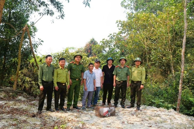 Thả rắn hổ mang chúa quý hiếm về rừng tự nhiên- Ảnh 1.