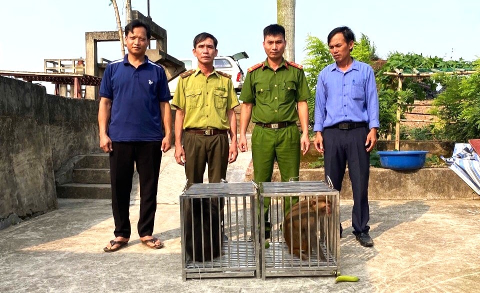 Bắt được hai cá thể khỉ quý hiếm đi lạc, người đàn ông vội giao nộp cho công an- Ảnh 1.