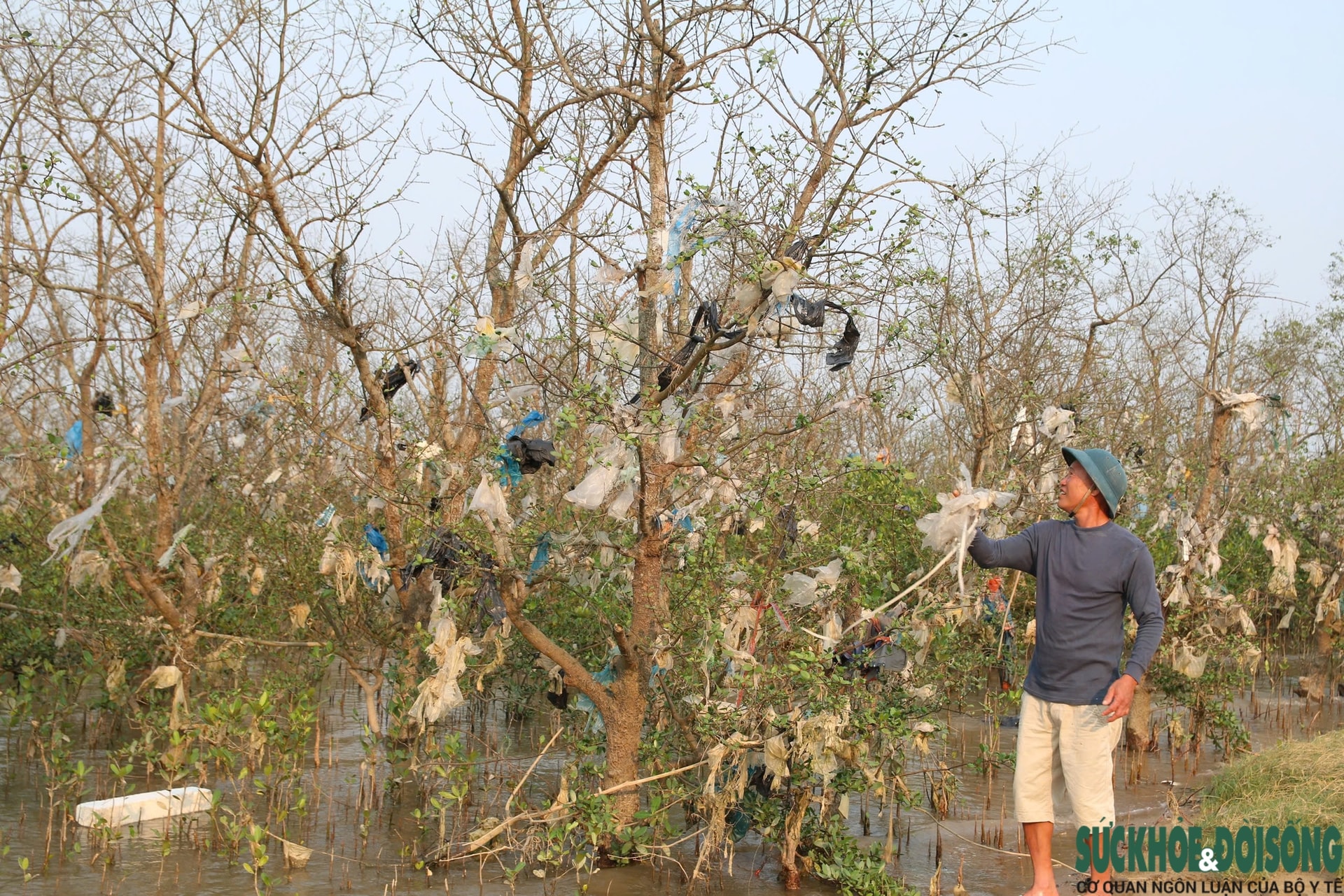 Rừng bần nguyên sinh ven sông Lam 'nghẹt thở' trong rác thải- Ảnh 4.