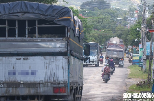 Người dân bất an khi lưu thông trên Quốc lộ 27 chật hẹp, xuống cấp, nhiều xe tải- Ảnh 10.