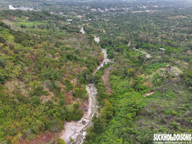 Khánh Hòa bảo vệ ‘lá phổi xanh’, phòng chống cháy rừng cấp 5- Ảnh 5.