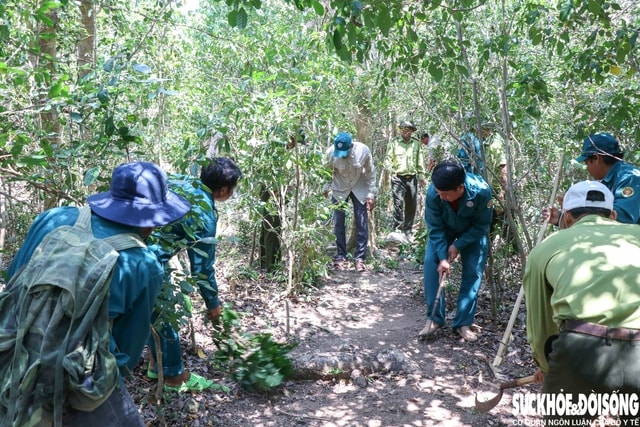 Khánh Hòa bảo vệ ‘lá phổi xanh’, phòng chống cháy rừng cấp 5- Ảnh 3.