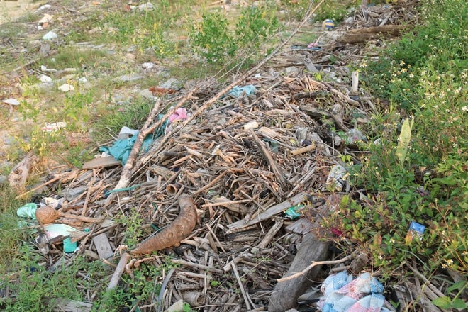 Rừng bần nguyên sinh ven sông Lam 'nghẹt thở' trong rác thải- Ảnh 8.