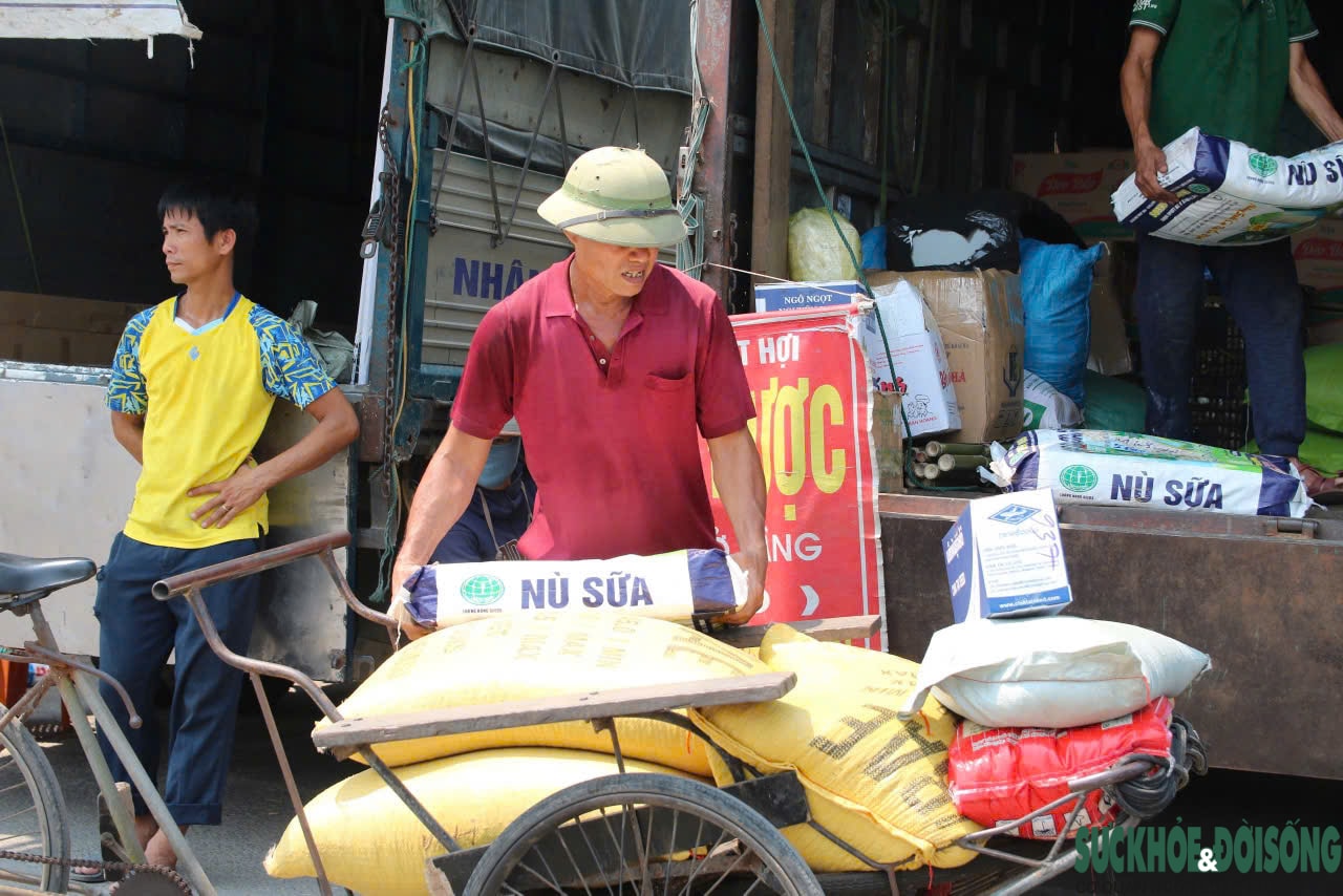 Người lao động Nghệ An oằn mình mưu sinh dưới cái nắng như đổ lửa- Ảnh 4.