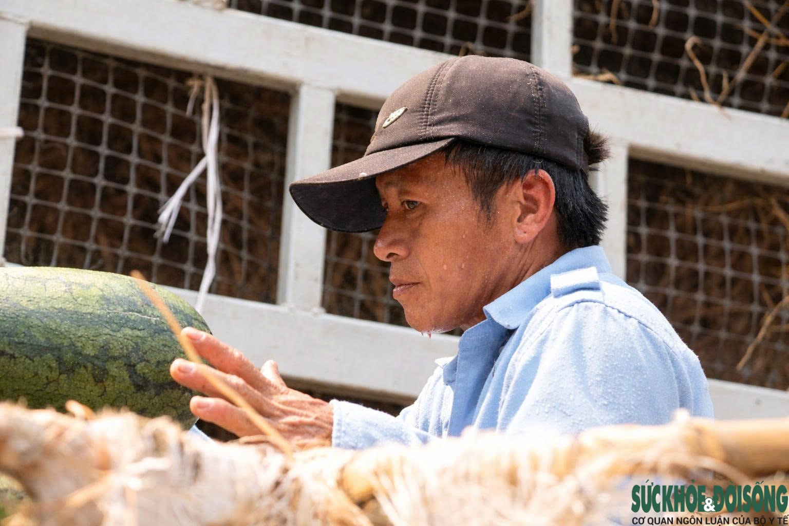 Người lao động Nghệ An oằn mình mưu sinh dưới cái nắng như đổ lửa- Ảnh 6.