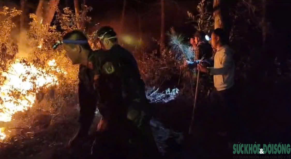 Nắng nóng gay gắt, liên tiếp xảy ra cháy rừng ở Nghệ An- Ảnh 1.