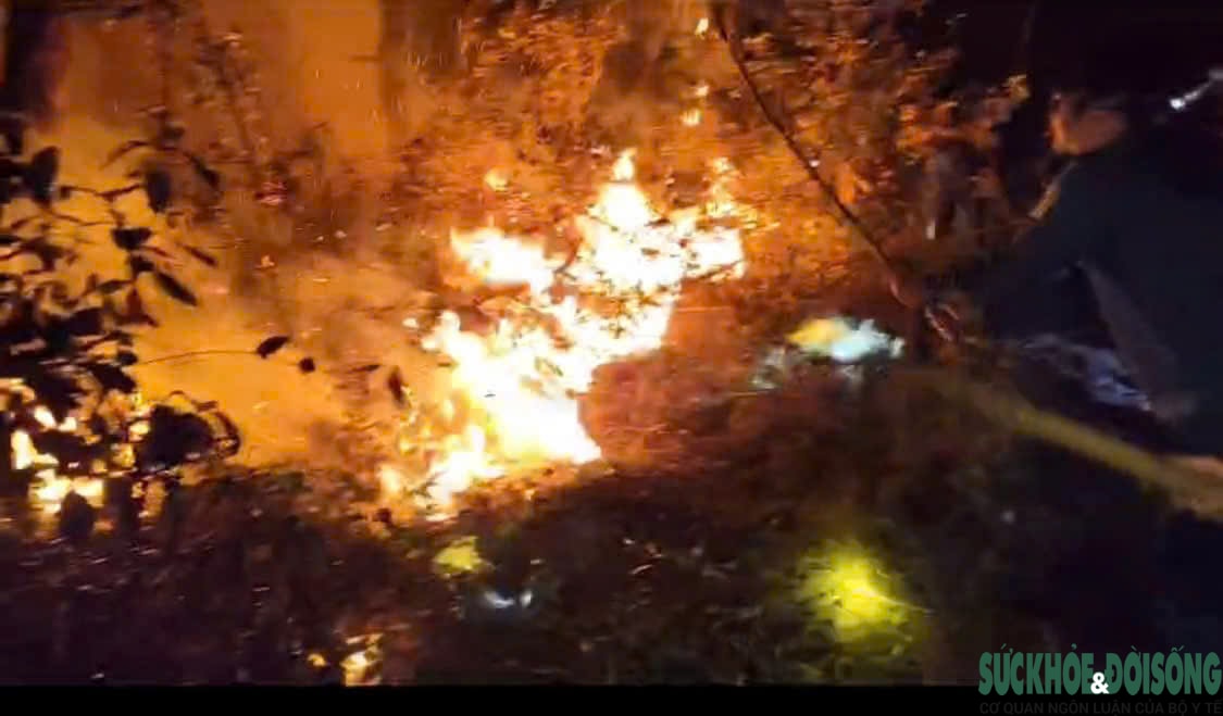 Nắng nóng gay gắt, liên tiếp xảy ra cháy rừng ở Nghệ An- Ảnh 2.