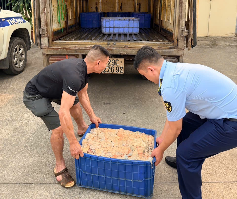 Phát hiện hơn nửa tấn lòng lợn bốc mùi hôi thối đang trên đường tiêu thụ- Ảnh 1.