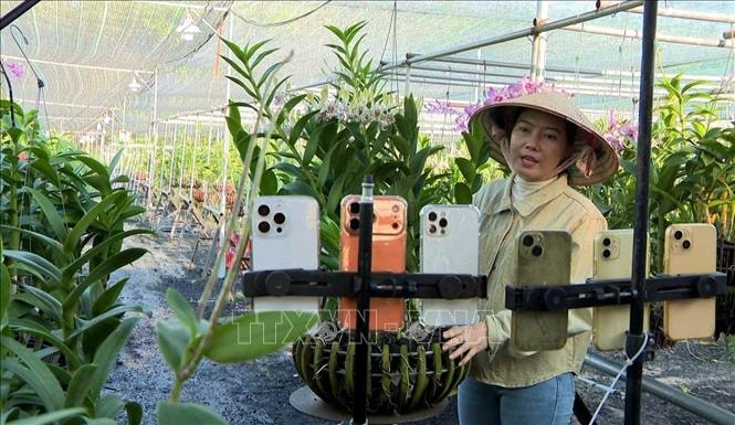 Trồng lan cảnh nghệ thuật cho lợi nhuận 2 tỷ đồng/năm- Ảnh 1.