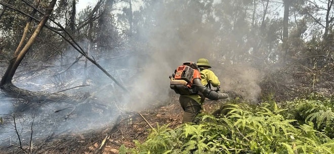 Nắng nóng gay gắt, liên tiếp xảy ra cháy rừng ở Nghệ An- Ảnh 4.