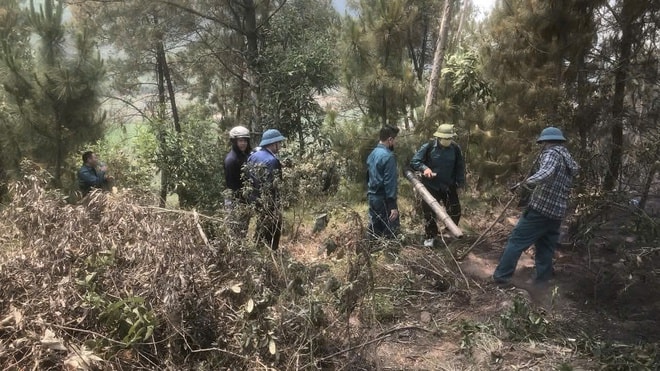 Nắng nóng gay gắt, liên tiếp xảy ra cháy rừng ở Nghệ An- Ảnh 3.