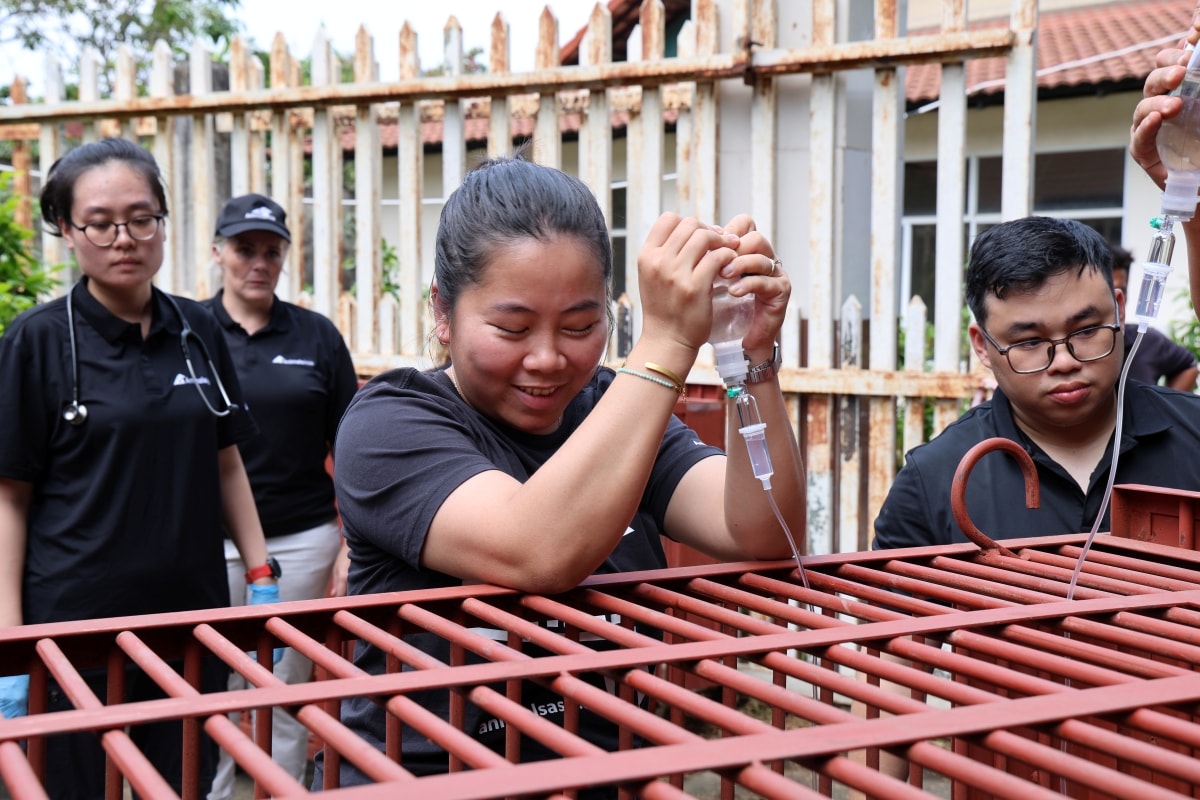 Cận cảnh cứu hộ 4 cá thể gấu quý hiếm về Vườn quốc gia Bạch Mã- Ảnh 7.