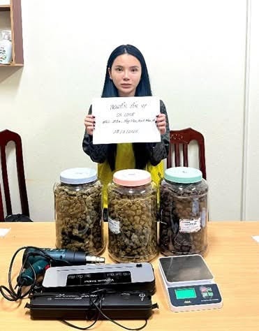 Thu hơn 2,kg cần sa tại nhà Nguyễn Yến Vy- Ảnh 1.