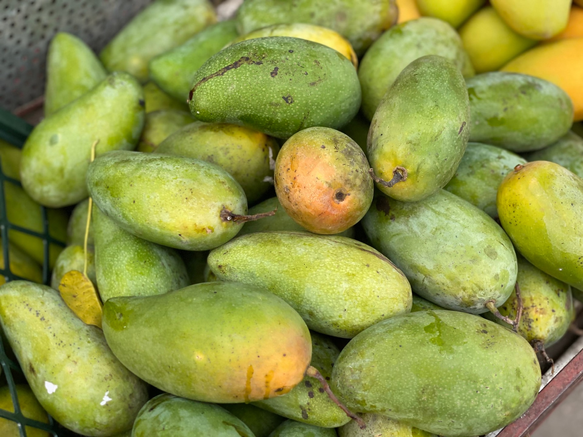 Tiểu thương bật mí cách chọn loại xoài đang ‘làm mưa làm gió’ thị trường Việt, vừa giòn vừa ngọt, quả nào cũng dày thịt, hạt mỏng dính- Ảnh 5.