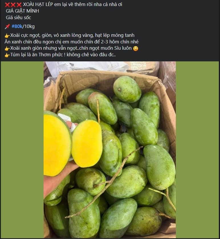 Tiểu thương bật mí cách chọn loại xoài đang ‘làm mưa làm gió’ thị trường Việt, vừa giòn vừa ngọt, quả nào cũng dày thịt, hạt mỏng dính- Ảnh 2.