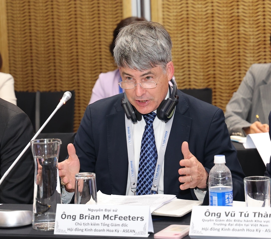 Bộ Y tế đối thoại với đoàn doanh nghiệp Hội đồng Kinh doanh Hoa Kỳ - ASEAN thúc đẩy hợp tác, đầu tư về y tế- Ảnh 4.