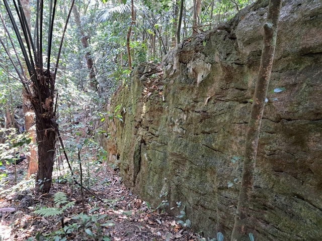 Sự thật về bức tường đá giữa rừng già- Ảnh 1.