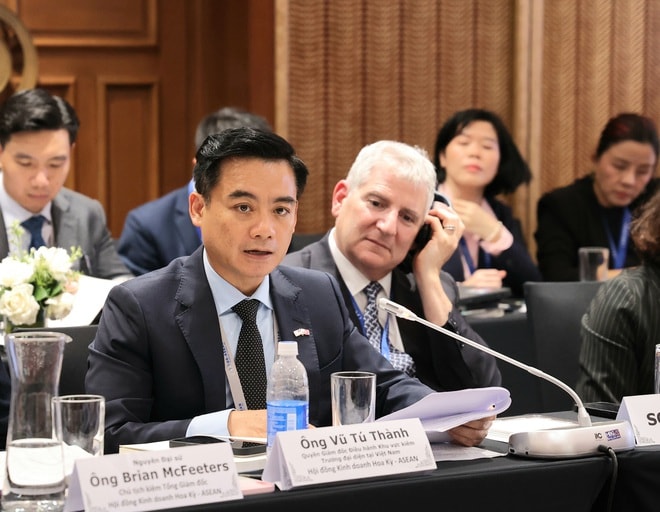 Bộ Y tế đối thoại với đoàn doanh nghiệp Hội đồng Kinh doanh Hoa Kỳ - ASEAN thúc đẩy hợp tác, đầu tư về y tế- Ảnh 5.