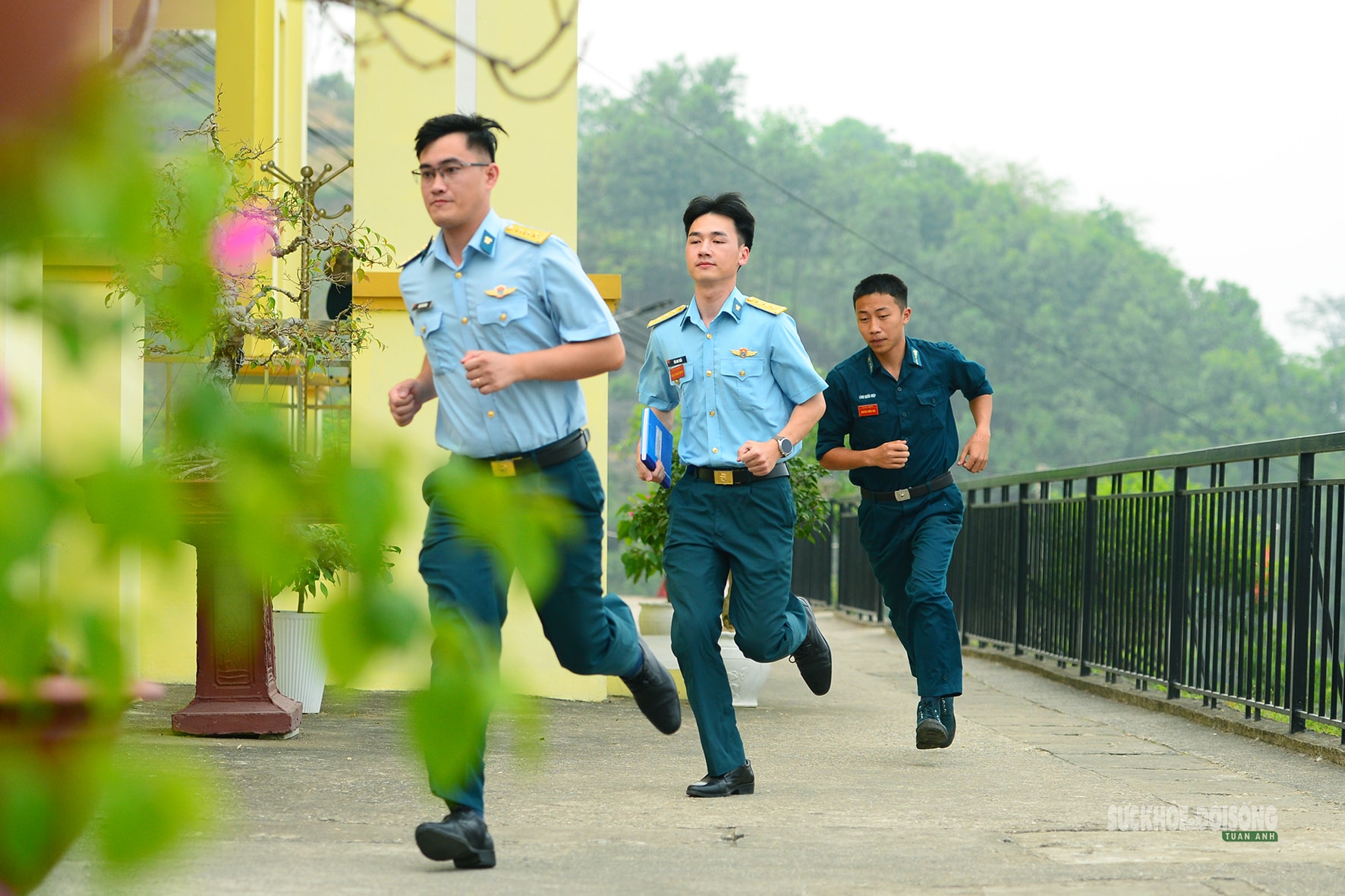 Những người đi tìm tín hiệu giữa đại ngàn- Ảnh 1.