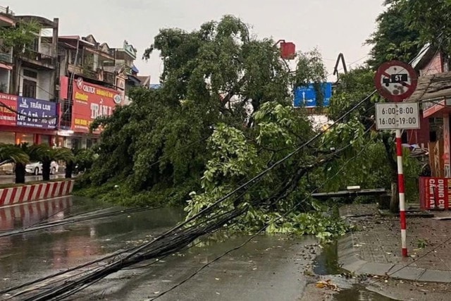 Cảnh báo dông lốc, mưa đá ở khu vực Bắc Bộ và Thanh Hóa- Ảnh 1.