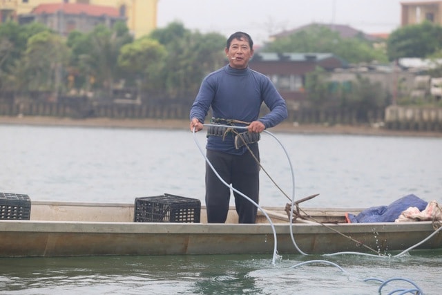 Nghề 'săn' đặc sản dưới đáy sông Nhật Lệ- Ảnh 3.