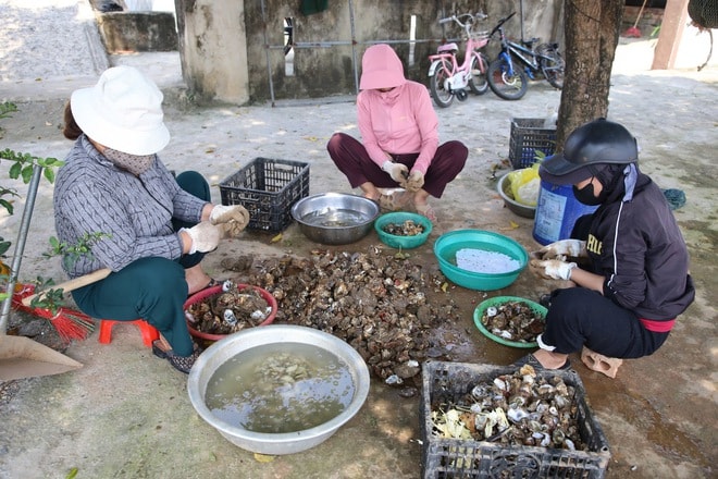 Nghề 'săn' đặc sản dưới đáy sông Nhật Lệ- Ảnh 9.