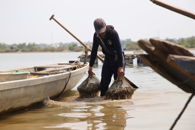 Nghề 'săn' đặc sản dưới đáy sông Nhật Lệ- Ảnh 8.