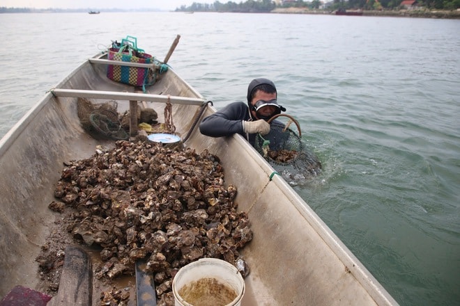 Nghề 'săn' đặc sản dưới đáy sông Nhật Lệ- Ảnh 7.