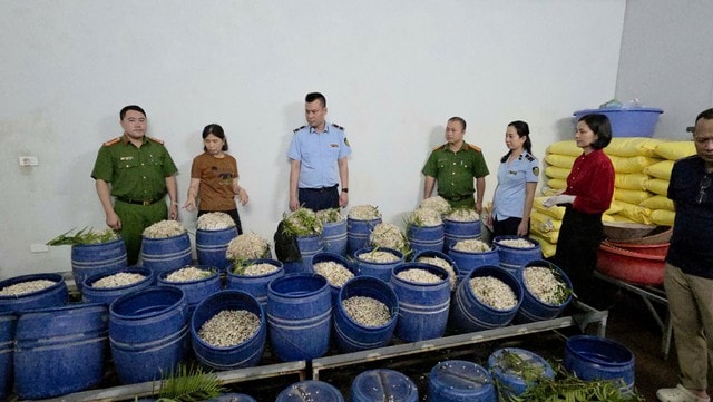 Quảng Ninh: Khởi tố, bắt tạm giam 2 đối tượng sản xuất giá đỗ bằng chất cấm- Ảnh 2.