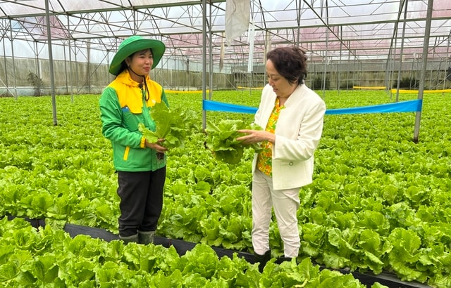 TPHCM định hướng trở thành trung tâm nghiên cứu, thử nghiệm và chuyển giao công nghệ nông nghiệp- Ảnh 2.