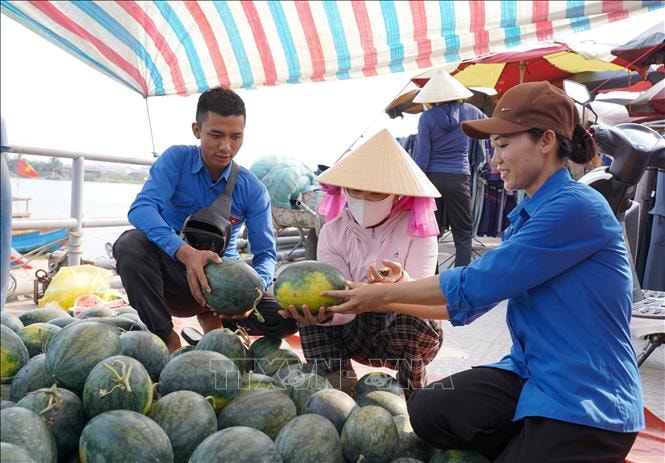 Giá dưa hấu xuống thấp, nông dân lao đao giữa vụ thu hoạch- Ảnh 4.