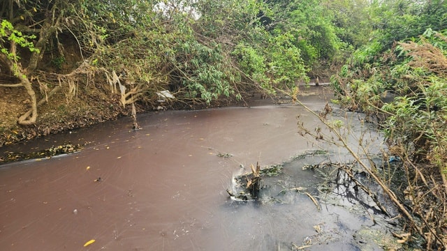 Truy tìm nguyên nhân nguồn nước sinh hoạt đổi màu tím, bốc mùi tanh hôi- Ảnh 3.