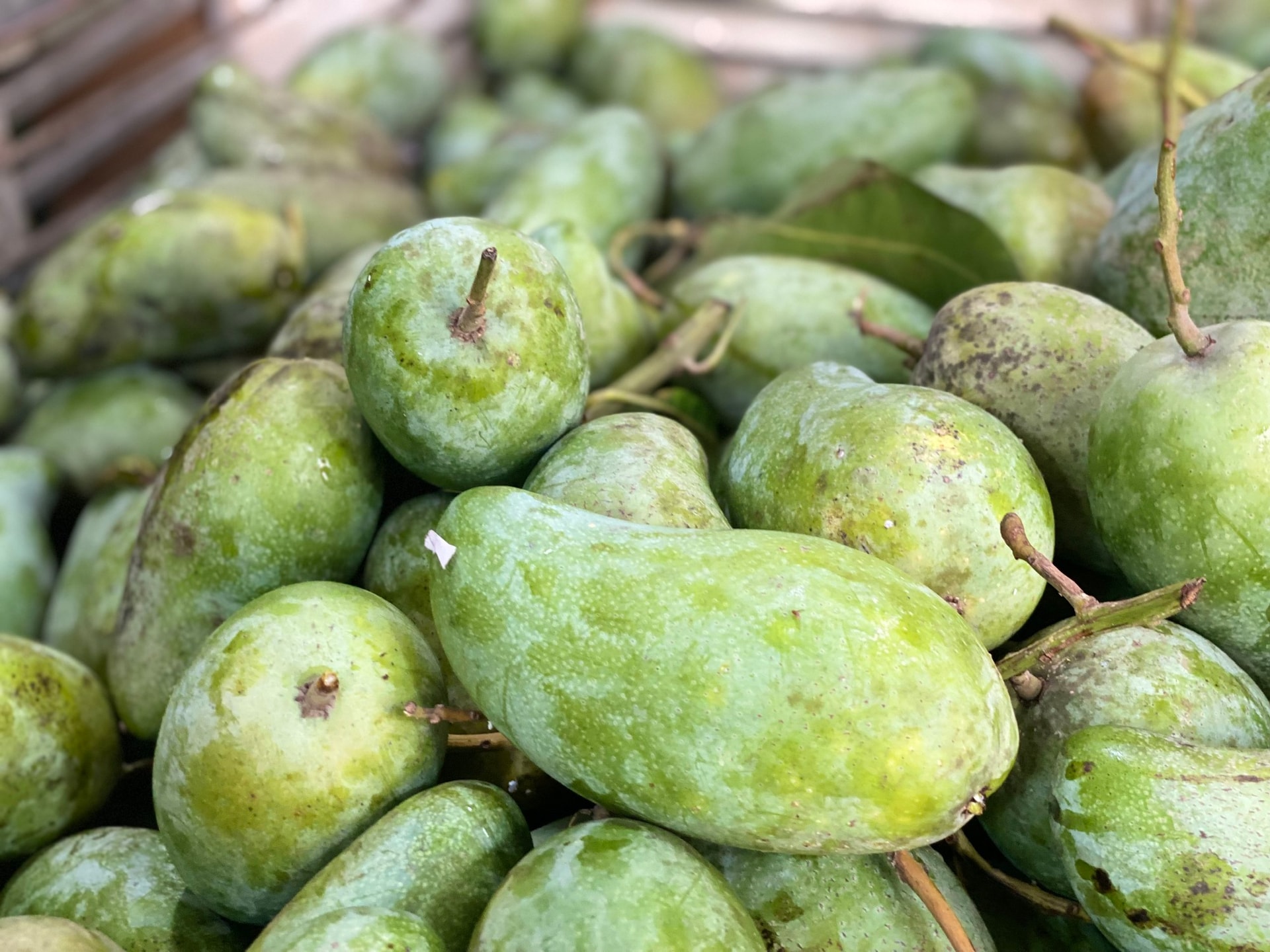 Một loại quả Việt bán đầy chợ giá rẻ bèo, xuất khẩu sang nước ngoài bán đắt như ‘vàng’- Ảnh 4.