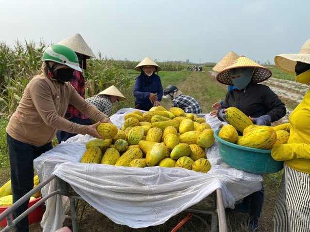 Ấm lòng cảnh dân làng 