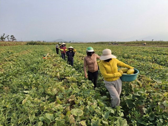 Ấm lòng cảnh dân làng 