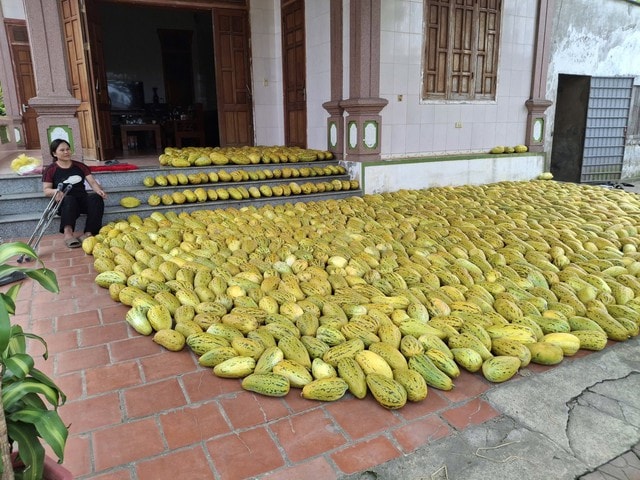 Ấm lòng cảnh dân làng 