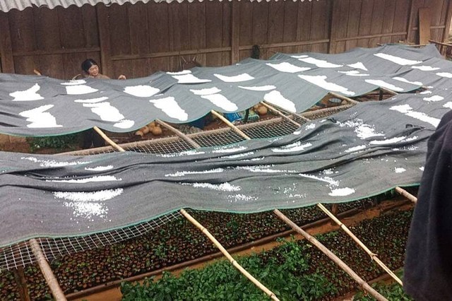 Mưa đá trắng xóa, dày đặc ở Sơn La làm hỏng hoa màu của người dân - Ảnh 2.