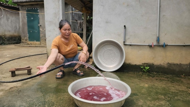 Phạt trang trại nuôi lợn hơn 400 triệu đồng vì xả thải vượt quy chuẩn- Ảnh 2.