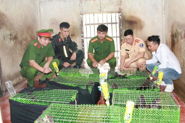 Ẩn mình trên mạng xã hội, đường dây buôn động vật quý hiếm vẫn 