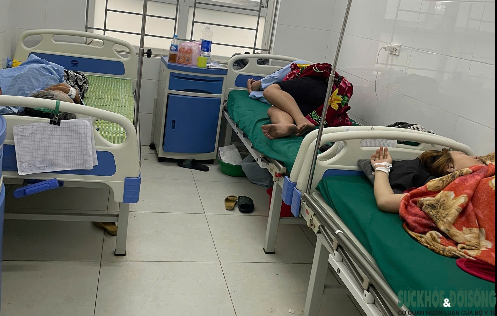 Nghệ An kêu gọi người từng mua bánh mì Sơn Quỳnh theo dõi sức khỏe sau vụ nghi ngộ độc thực phẩm- Ảnh 3.