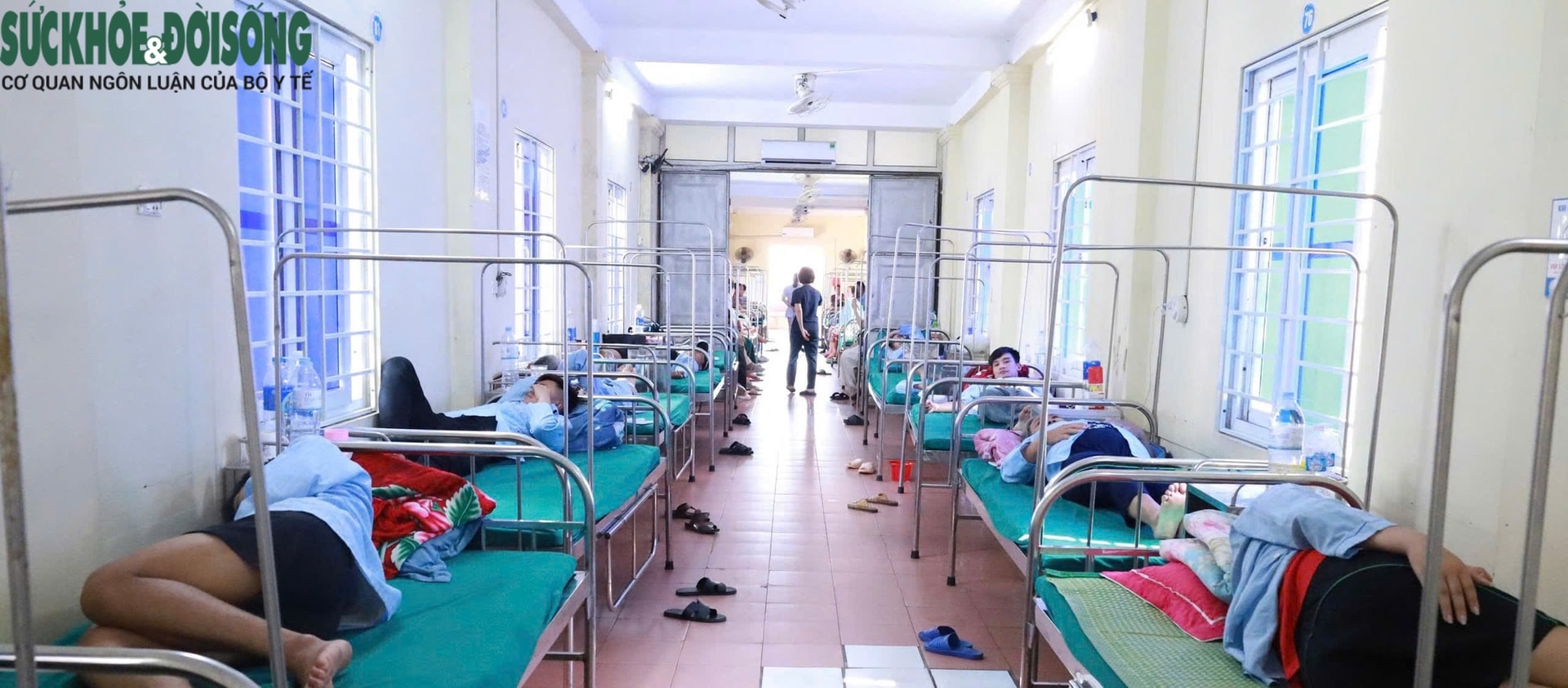 Vụ ngộ độc nghi ăn bánh mì ở Nghệ An: Thêm nhiều người nhập viện- Ảnh 1.